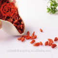 Hot Sale Ningxia Organic Dried Goji Berries , Fresh Chinese wolfberry Ningxia Goji berries Organic 280 Grains/50g